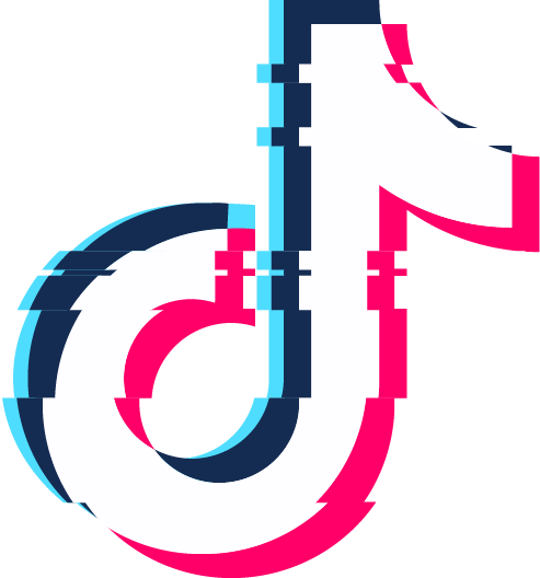 Icono tiktok Roby